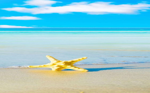 Sea starfish wallpaper from Chrome web store to be run with OffiDocs Chromium online Sea starfish wallpaper from Chrome web store to be run with OffiDocs Chromium online