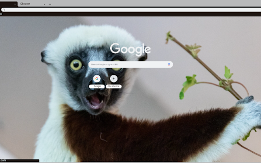 Sifaka from Chrome web store to be run with OffiDocs Chromium online Sifaka from Chrome web store to be run with OffiDocs Chromium online