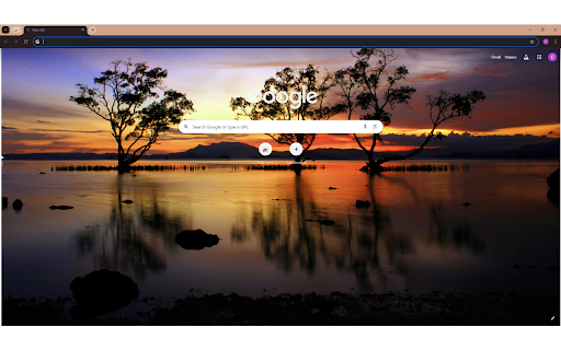 Silhouette of Trees Near Body of Water from Chrome web store to be run with OffiDocs Chromium online Silhouette of Trees Near Body of Water from Chrome web store to be run with OffiDocs Chromium online