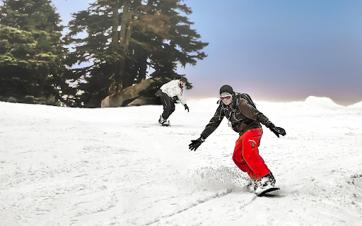 Skiing from Chrome web store to be run with OffiDocs Chromium online Skiing from Chrome web store to be run with OffiDocs Chromium online