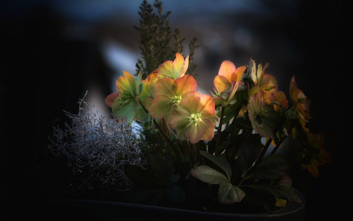 Small flower tree from Chrome web store to be run with OffiDocs Chromium online Small flower tree from Chrome web store to be run with OffiDocs Chromium online