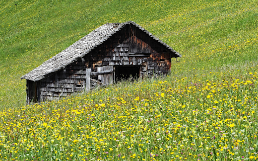 Small house on the prairie from Chrome web store to be run with OffiDocs Chromium online Small house on the prairie from Chrome web store to be run with OffiDocs Chromium online
