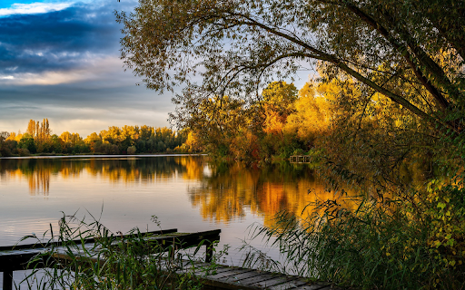 Small wooden bridge by the lake from Chrome web store to be run with OffiDocs Chromium online Small wooden bridge by the lake from Chrome web store to be run with OffiDocs Chromium online