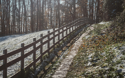 Snowy Pathway Along a Forest in Winter from Chrome web store to be run with OffiDocs Chromium online Snowy Pathway Along a Forest in Winter from Chrome web store to be run with OffiDocs Chromium online