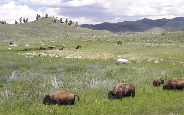 Social Network Sleep from Chrome web store to be run with OffiDocs Chromium online Social Network Sleep from Chrome web store to be run with OffiDocs Chromium online