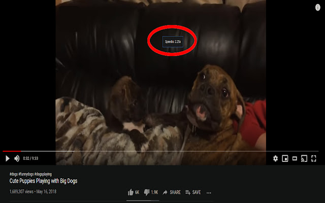 Speedio from Chrome web store to be run with OffiDocs Chromium online Speedio from Chrome web store to be run with OffiDocs Chromium online