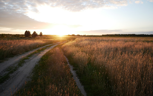 Sunshine on the small road from Chrome web store to be run with OffiDocs Chromium online Sunshine on the small road from Chrome web store to be run with OffiDocs Chromium online