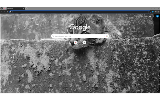 Tabby Kitten Lying on Concrete Stairs from Chrome web store to be run with OffiDocs Chromium online Tabby Kitten Lying on Concrete Stairs from Chrome web store to be run with OffiDocs Chromium online