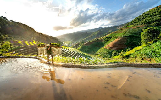 Terraced Fields from Chrome web store to be run with OffiDocs Chromium online Terraced Fields from Chrome web store to be run with OffiDocs Chromium online