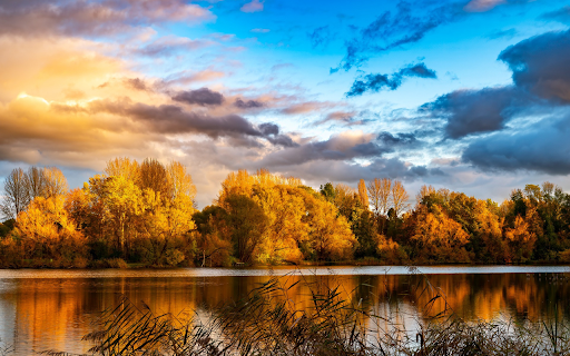 The autumn pond is cold from Chrome web store to be run with OffiDocs Chromium online The autumn pond is cold from Chrome web store to be run with OffiDocs Chromium online