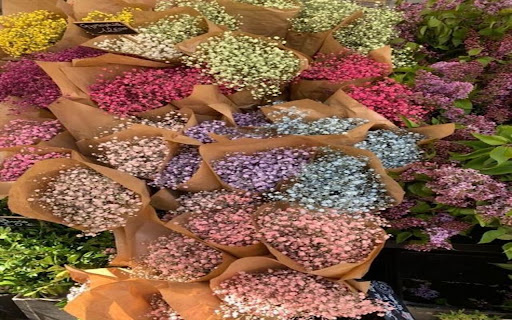 The wallpaper depicts colorful bouquets of flowers from Chrome web store to be run with OffiDocs Chromium online The wallpaper depicts colorful bouquets of flowers from Chrome web store to be run with OffiDocs Chromium online
