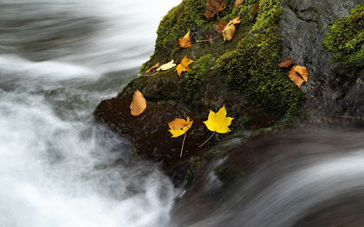 The water flows fast from Chrome web store to be run with OffiDocs Chromium online The water flows fast from Chrome web store to be run with OffiDocs Chromium online