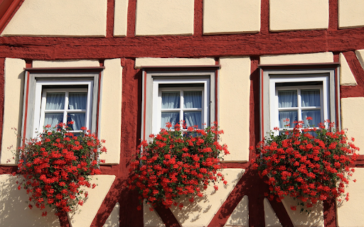 The windows are full of flowers from Chrome web store to be run with OffiDocs Chromium online The windows are full of flowers from Chrome web store to be run with OffiDocs Chromium online