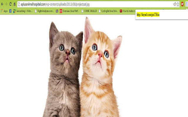 TinyURL Converter from Chrome web store to be run with OffiDocs Chromium online TinyURL Converter from Chrome web store to be run with OffiDocs Chromium online