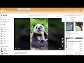 TKCommentExport Export TikTok Comments from Chrome web store to be run with OffiDocs Chromium online TKCommentExport Export TikTok Comments from Chrome web store to be run with OffiDocs Chromium online
