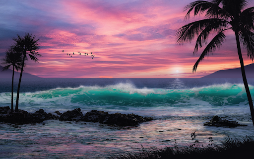 Tropical Sea from Chrome web store to be run with OffiDocs Chromium online Tropical Sea from Chrome web store to be run with OffiDocs Chromium online