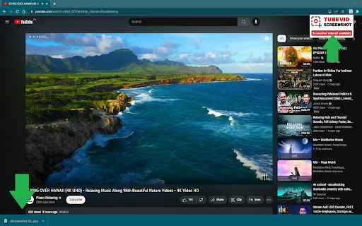 TubeVid Screenshot from Chrome web store to be run with OffiDocs Chromium online TubeVid Screenshot from Chrome web store to be run with OffiDocs Chromium online