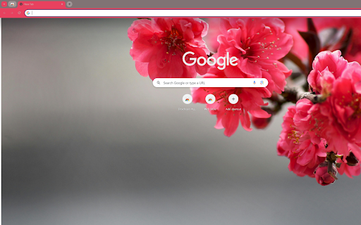 vibrant branch of red cherry blossoms from Chrome web store to be run with OffiDocs Chromium online vibrant branch of red cherry blossoms from Chrome web store to be run with OffiDocs Chromium online