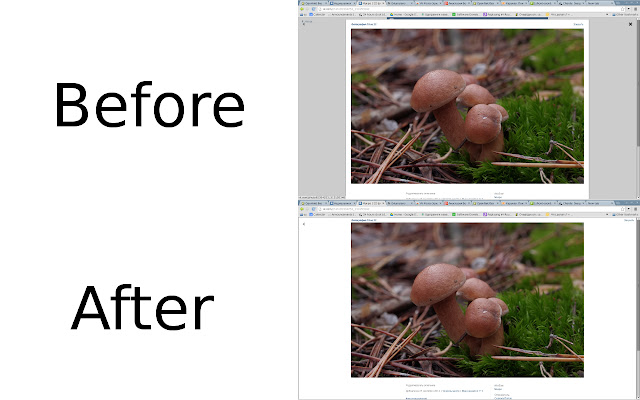 Vk Photo (nice pictures) from Chrome web store to be run with OffiDocs Chromium online Vk Photo (nice pictures) from Chrome web store to be run with OffiDocs Chromium online