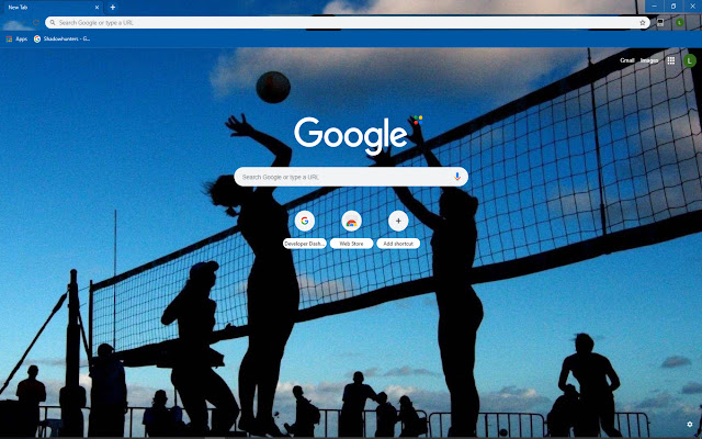 Volleyball Theme from Chrome web store to be run with OffiDocs Chromium online Volleyball Theme from Chrome web store to be run with OffiDocs Chromium online