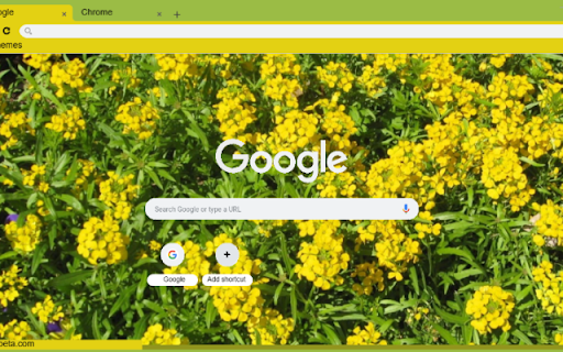 Wallflower Yellow from Chrome web store to be run with OffiDocs Chromium online Wallflower Yellow from Chrome web store to be run with OffiDocs Chromium online