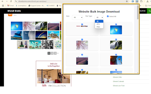 Website Bulk Image Download from Chrome web store to be run with OffiDocs Chromium online Website Bulk Image Download from Chrome web store to be run with OffiDocs Chromium online