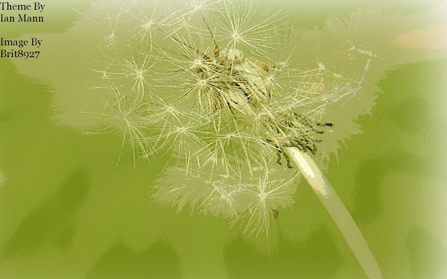 White Weed from Chrome web store to be run with OffiDocs Chromium online White Weed from Chrome web store to be run with OffiDocs Chromium online