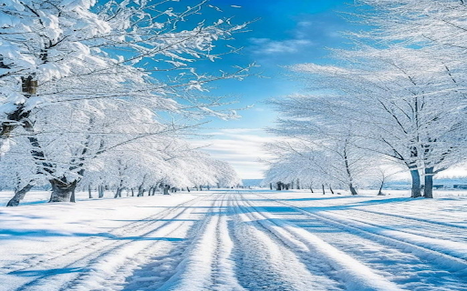 Winter road wallpaper from Chrome web store to be run with OffiDocs Chromium online Winter road wallpaper from Chrome web store to be run with OffiDocs Chromium online