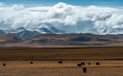 Yak Valley Serenity from Chrome web store to be run with OffiDocs Chromium online Yak Valley Serenity from Chrome web store to be run with OffiDocs Chromium online