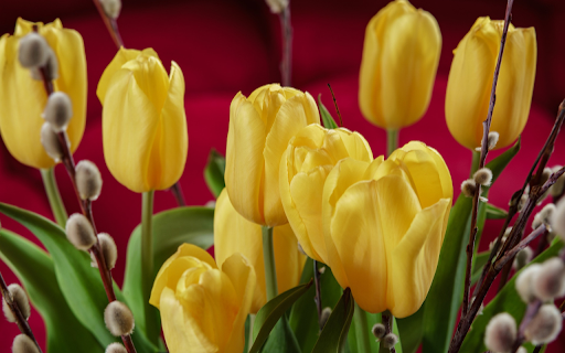 Yellow tulips and rosehips from Chrome web store to be run with OffiDocs Chromium online Yellow tulips and rosehips from Chrome web store to be run with OffiDocs Chromium online