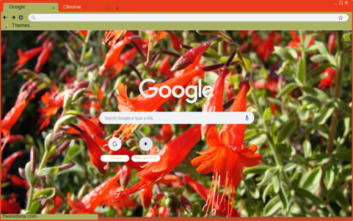 Zauschneria from Chrome web store to be run with OffiDocs Chromium online Zauschneria from Chrome web store to be run with OffiDocs Chromium online