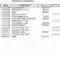 Boy Scout Accounting Template
