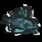 John Dory Fish Animal