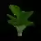 Tropical Plant Green