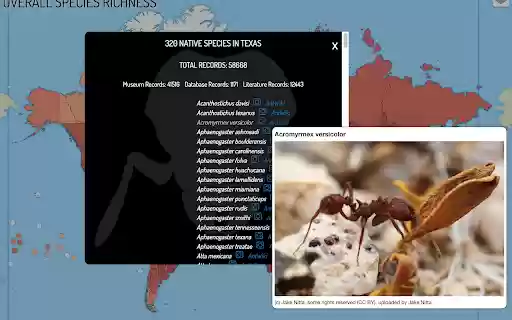 AntMaps Plus from Chrome web store to be run with OffiDocs Chromium online AntMaps Plus from Chrome web store to be run with OffiDocs Chromium online