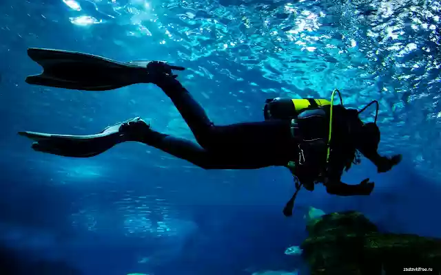 Aqualunger from Chrome web store to be run with OffiDocs Chromium online Aqualunger from Chrome web store to be run with OffiDocs Chromium online