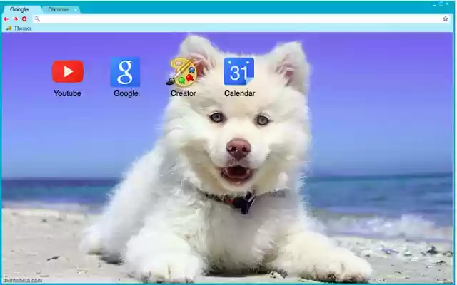 Beach Puppy from Chrome web store to be run with OffiDocs Chromium online Beach Puppy from Chrome web store to be run with OffiDocs Chromium online