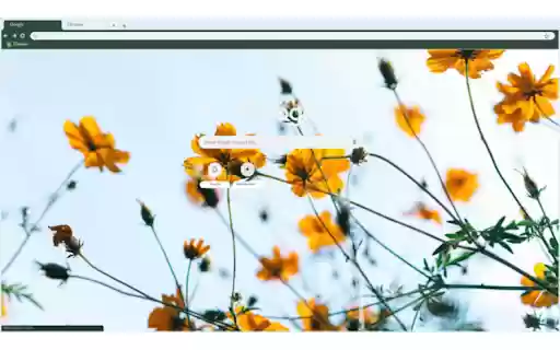 Bloom Flowers from Chrome web store to be run with OffiDocs Chromium online Bloom Flowers from Chrome web store to be run with OffiDocs Chromium online
