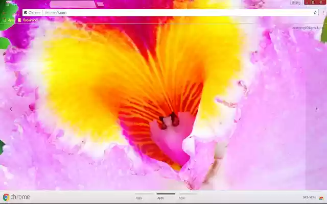 Blossom Colorful Flower Lilac Nature from Chrome web store to be run with OffiDocs Chromium online Blossom Colorful Flower Lilac Nature from Chrome web store to be run with OffiDocs Chromium online