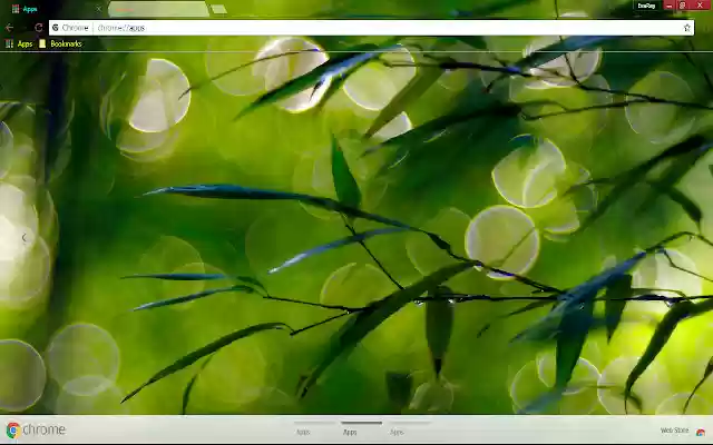 Bokeh Dew Drop Green Leaf from Chrome web store to be run with OffiDocs Chromium online Bokeh Dew Drop Green Leaf from Chrome web store to be run with OffiDocs Chromium online