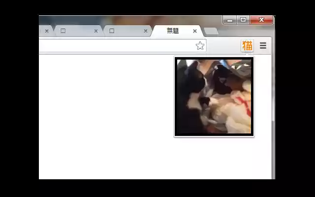 Cat Vine Lite | ショート猫動画 from Chrome web store to be run with OffiDocs Chromium online Cat Vine Lite | ショート猫動画 from Chrome web store to be run with OffiDocs Chromium online