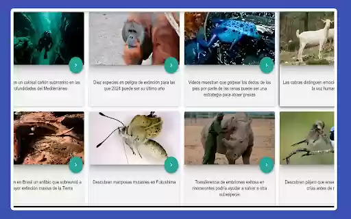 Chatiapues Messenger from Chrome web store to be run with OffiDocs Chromium online Chatiapues Messenger from Chrome web store to be run with OffiDocs Chromium online