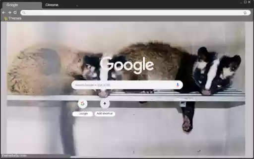 Chon rung from Chrome web store to be run with OffiDocs Chromium online Chon rung from Chrome web store to be run with OffiDocs Chromium online