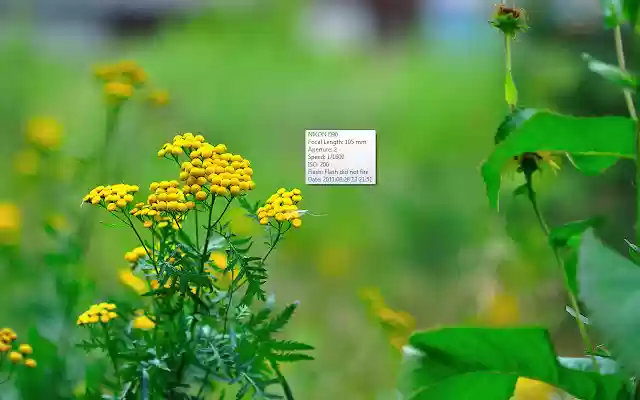 Exponator Live! from Chrome web store to be run with OffiDocs Chromium online Exponator Live! from Chrome web store to be run with OffiDocs Chromium online