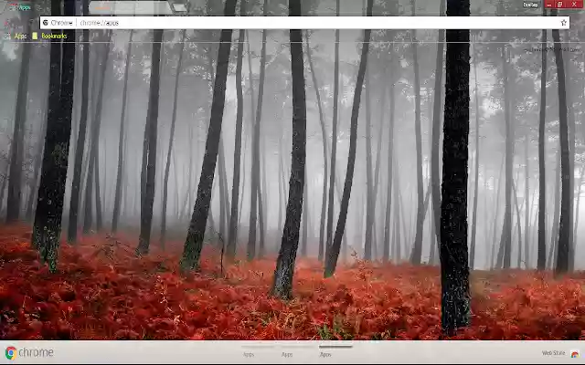 Fog Forest Nature Tree from Chrome web store to be run with OffiDocs Chromium online Fog Forest Nature Tree from Chrome web store to be run with OffiDocs Chromium online