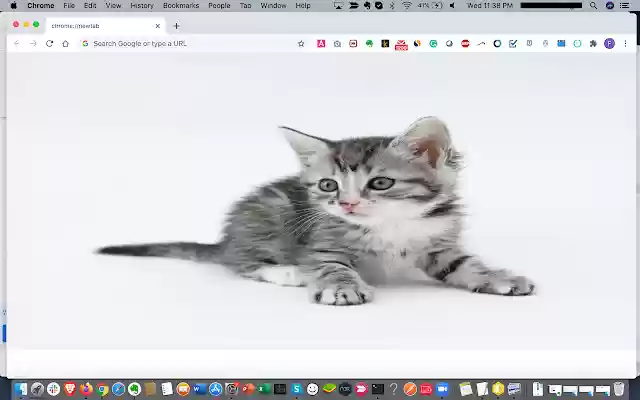 fr 01 new page extension from Chrome web store to be run with OffiDocs Chromium online fr 01 new page extension from Chrome web store to be run with OffiDocs Chromium online