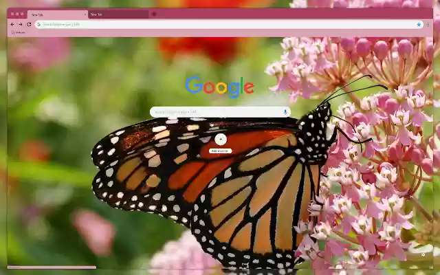 Largest butterfly from Chrome web store to be run with OffiDocs Chromium online Largest butterfly from Chrome web store to be run with OffiDocs Chromium online
