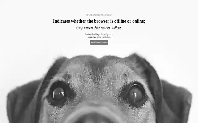 Offline Checker from Chrome web store to be run with OffiDocs Chromium online Offline Checker from Chrome web store to be run with OffiDocs Chromium online