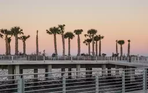 Palm trees on the bridge from Chrome web store to be run with OffiDocs Chromium online Palm trees on the bridge from Chrome web store to be run with OffiDocs Chromium online
