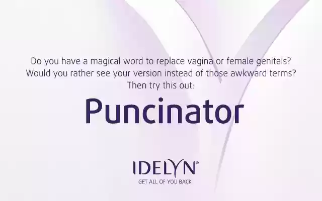 Puncinator from Chrome web store to be run with OffiDocs Chromium online Puncinator from Chrome web store to be run with OffiDocs Chromium online